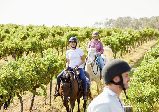 Murchessons Horseback Wine and Dine Tours, Pokolbin, Hunter Valley